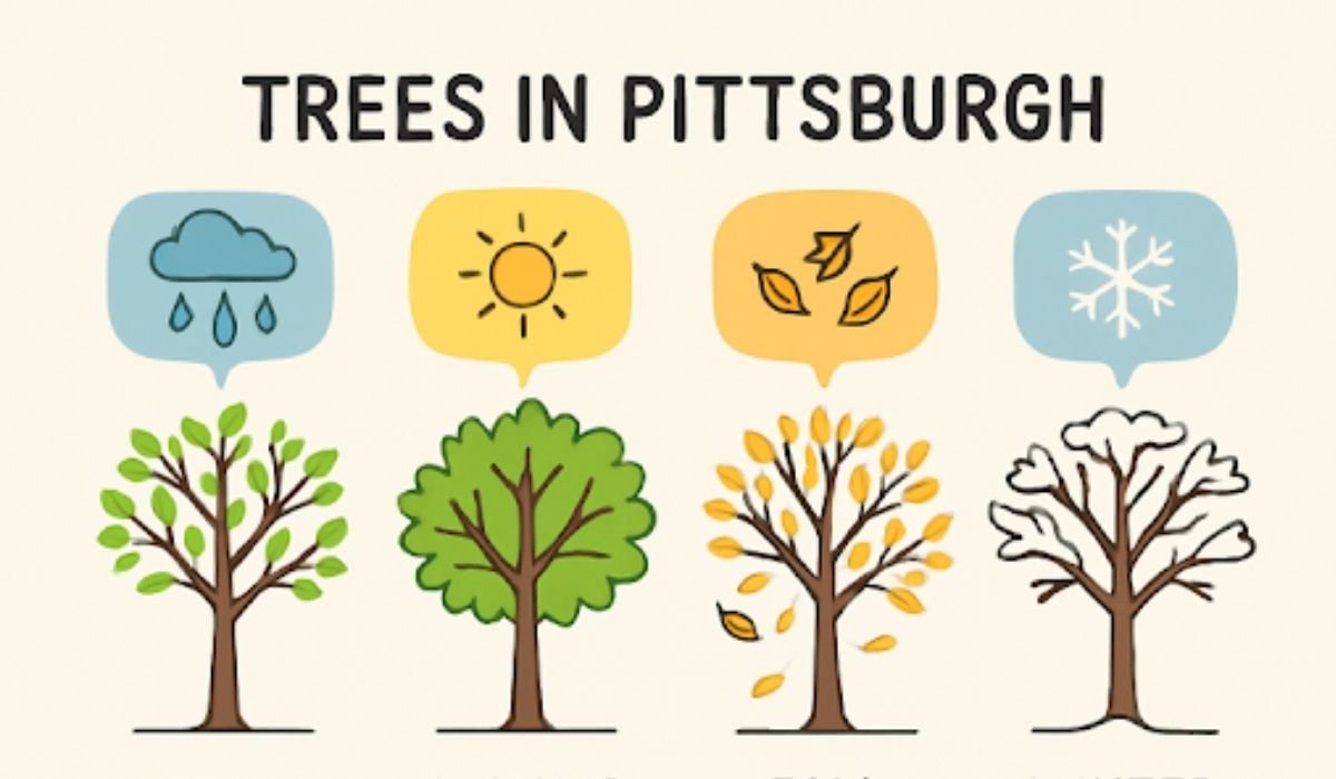 Tree Health and Safety