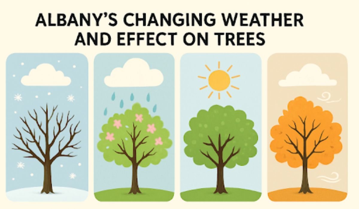 Tree Removal Services