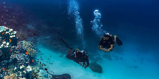 Liveaboard in the Maldives